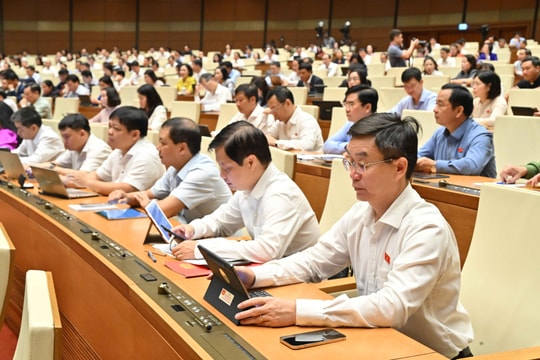 Nâng tầm đại biểu từ trí tuệ lập pháp