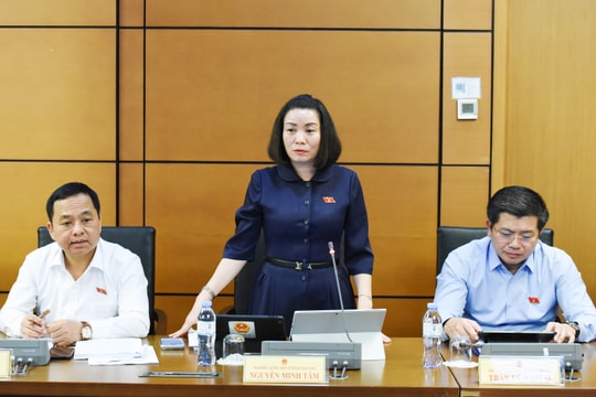 Luật sư công có phải gia nhập Đoàn luật sư?