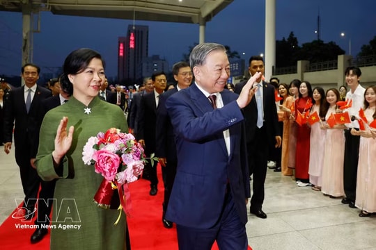 China–Vietnam cooperation reaching new heights: Chinese expert