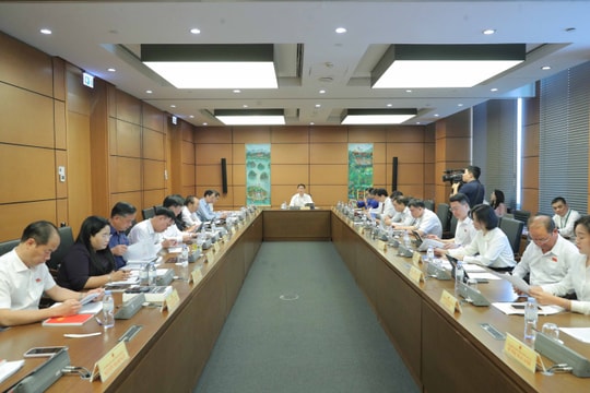 Có lộ trình cụ thể, bảo đảm hiệu quả đầu tư và khả năng cân đối nguồn lực