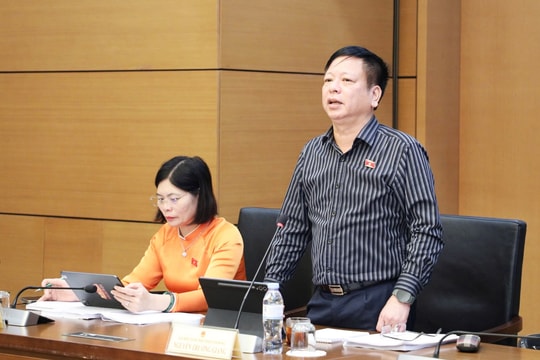 Rà soát kỹ phạm vi, cơ chế thực hiện thí điểm luật sư công