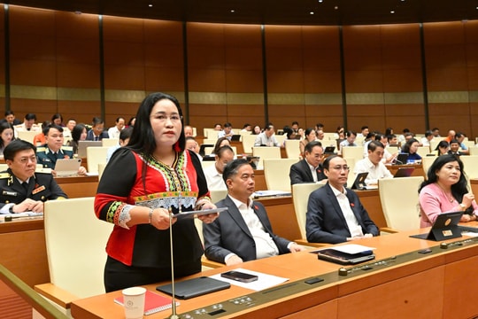 ĐBQH Chamaléa Thị Thủy (Khánh Hòa): Mở rộng "địa chỉ tin cậy" tại cộng đồng hỗ trợ nạn nhân bị bạo lực giới