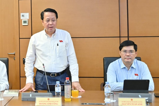 Ngưỡng miễn thuế phải bảo đảm hộ kinh doanh duy trì cuộc sống và phát triển