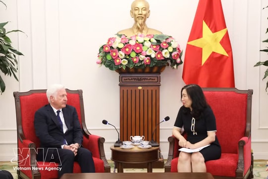 Vietnam, Ireland seek ways to step up bilateral cooperation
