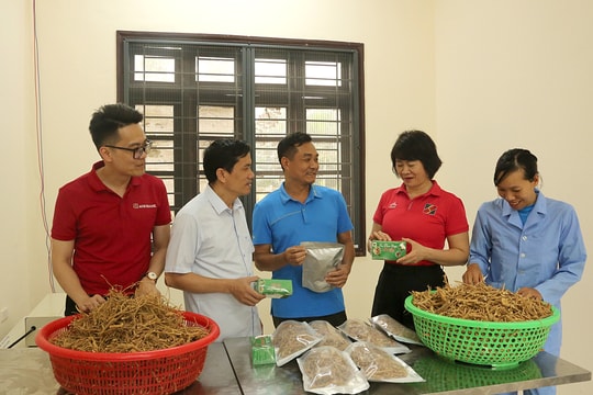 Bài 2: Làm đẹp "bức tranh" đồi rừng