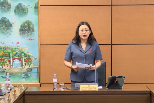 Cần phân loại áp dụng mức thuế suất theo từng lĩnh vực