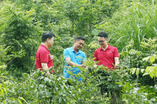 Bài cuối: Tín dụng xanh dễ mà khó