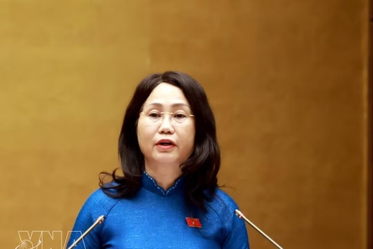 Resolution on cultural development adopted, Dong Nai established as centrally governed city