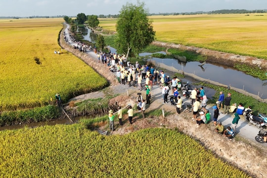 Bí quyết "đất khỏe - cây trồng khỏe" để tiết kiệm chi phí canh tác