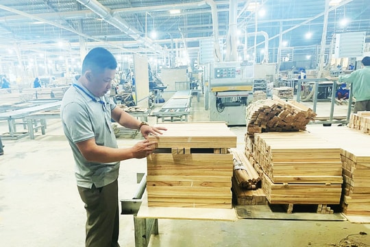 Quảng Trị phát triển công nghiệp nông thôn xanh, bền vững