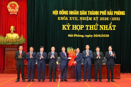 Huyền thoại những "con tàu không số" và khát vọng đô thị biển đáng sống