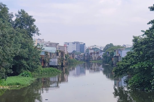TP. Hồ Chí Minh: Còn nhiều vướng mắc trong thi hành Luật Đất đai