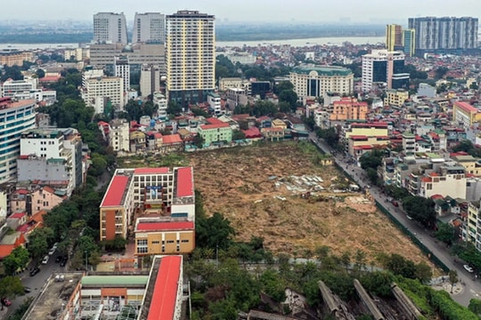 Lời giải sau hơn 10 năm theo đuổi "di sản" Halico của Tân Hoàng Minh