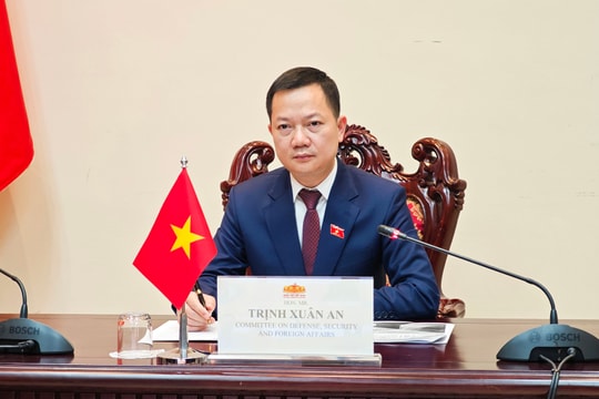 Phiên họp tham vấn trực tuyến lần 3 Hội nghị Nghị sĩ trẻ AIPA