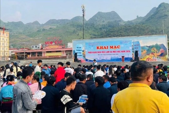 Tuyên Quang: Tổ chức nhiều hoạt động tư vấn, kết nối việc làm