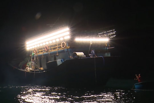 LED lighting drives efficiency gains in fisheries