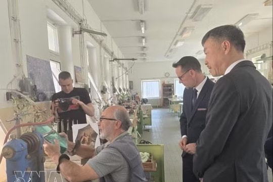 Vietnam, Czech Republic step up local-level cooperation, cultural exchange