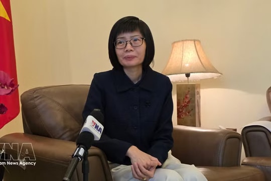 Vietnam works with ASEAN to navigate global turbulence: ambassador