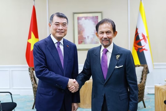 Thủ tướng Lê Minh Hưng gặp Quốc vương Brunei Haji Hassanal Bolkiah