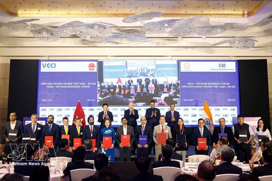 Vietnam, India firms ink broad cooperation deals at Mumbai business forum