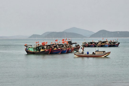Quảng Ninh: Chủ động ứng phó với dông lốc, lũ quét và gió mạnh trên biển