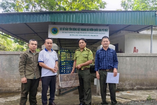 Bộ Công an yêu cầu xử lý nghiêm để tiến tới chấm dứt tình trạng săn, bắt tận diệt các loài chim hoang dã, di cư