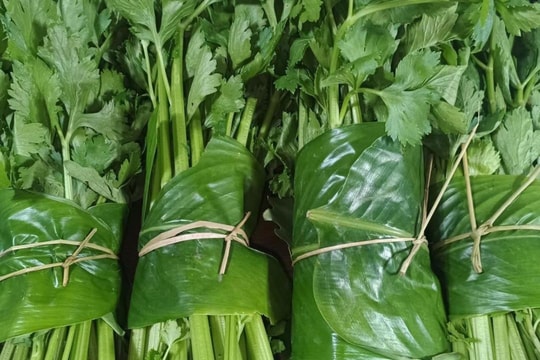 Không thể phát triển xanh với lối sống “nâu”