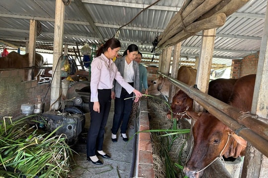 Giảm nghèo ở An Khê