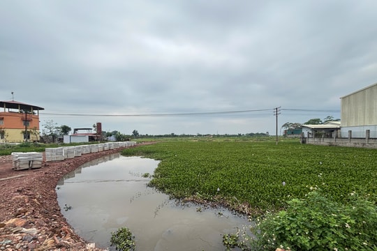 Vụ hơn 6.900m2 đất lúa bị hủy hoại ở xã Tân Dĩnh (Bắc Ninh) - Bài 2: Xã Mỹ Thái vào cuộc kiểm tra, sẽ xử nghiêm nếu phát hiện sai phạm