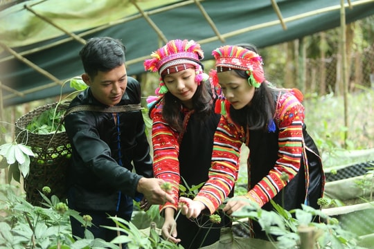 Lai Châu quyết tâm bứt phá xây dựng nông thôn mới, giảm nghèo bền vững và phát triển vùng đồng bào dân tộc thiểu số