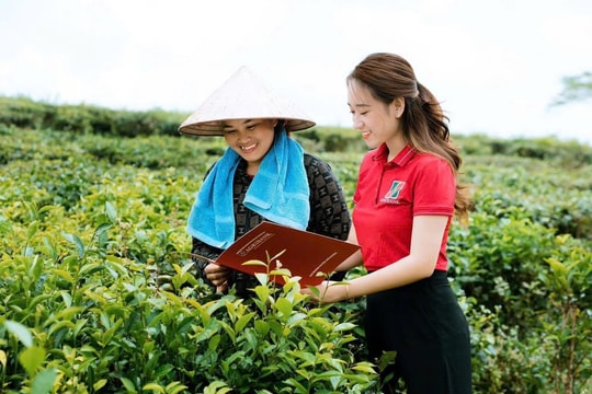 Vốn xanh Agribank vun đắp những mùa quả ngọt