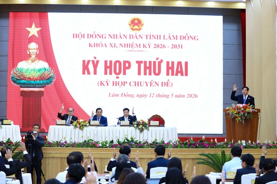 HĐND tỉnh Lâm Đồng xem xét nhiều nội dung quan trọng về đầu tư công, đất đai, quản lý rừng
