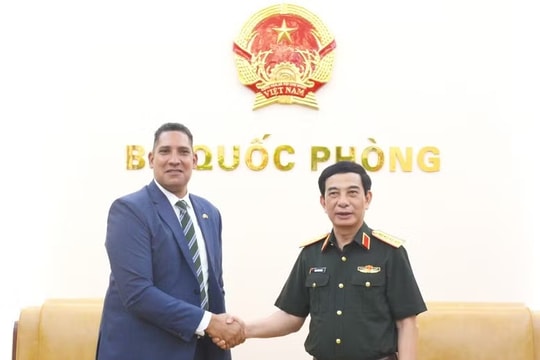 Vietnam seeks to intensify defence collaboration with Sweden, Algeria