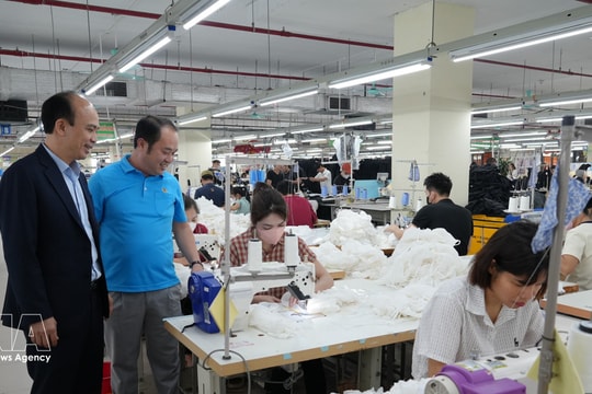 Three proposals to connect overseas Vietnamese resources with private economy at home