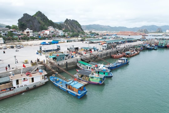 Quảng Ninh: Mở cảng cá Cái Rồng tại đặc khu Vân Đồn