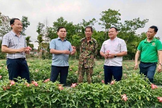 Nghệ An: Chủ tịch UBND tỉnh sẽ gặp mặt, đối thoại với nông dân