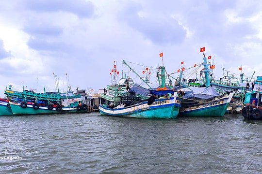 Ca Mau accelerates efforts to remove IUU fishing-related warning through vessel data clean-up