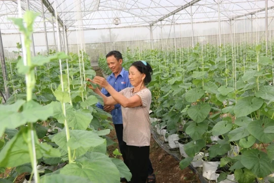 Thanh Hóa đẩy mạnh số hóa nông nghiệp nâng tầm giá trị nông sản