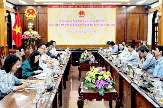 Đoàn giám sát của Ủy ban Kinh tế và Tài chính làm việc với UBND tỉnh Gia Lai