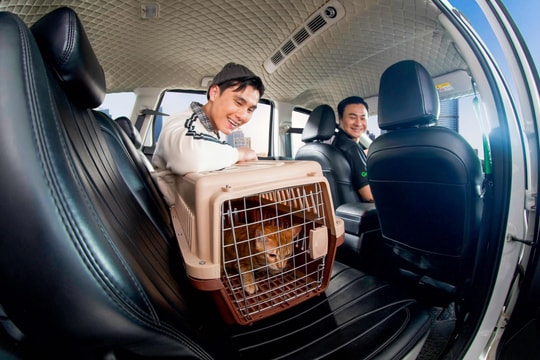 Grab mở rộng dịch vụ GrabCar thú cưng ra Hà Nội
