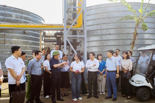 Đoàn công tác của Ủy ban Khoa học, Công nghệ và Môi trường khảo sát tại Nhà máy dệt nhuộm Sunrise Việt Nam