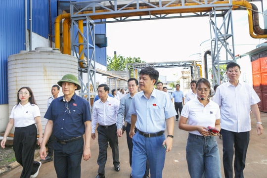 Cắt giảm thủ tục hành chính trong xây dựng báo cáo môi trường của doanh nghiệp