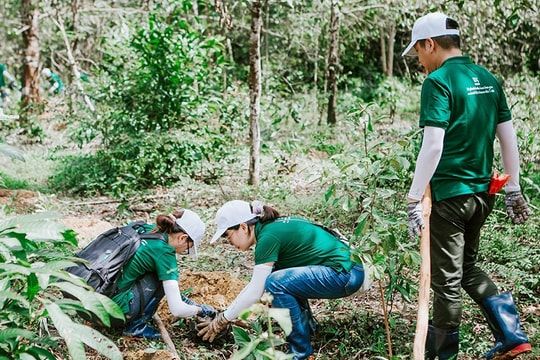 Đòn bẩy tài chính cho chiến lược tăng trưởng xanh và bảo tồn đa dạng sinh học