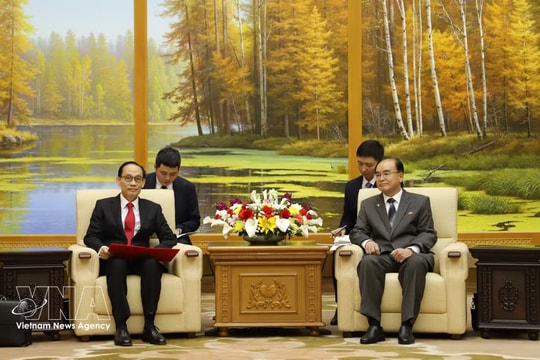 Vietnam wishes to unceasingly develop ties with DPRK: Foreign Minister