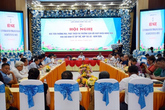 Nghệ An: Mở rộng thị trường, hướng xuất khẩu cho hợp tác xã