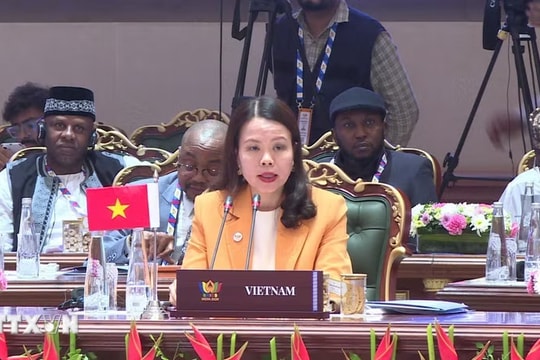 Việt Nam sẵn sàng thúc đẩy kết nối BRICS với khu vực châu Á-Thái Bình Dương