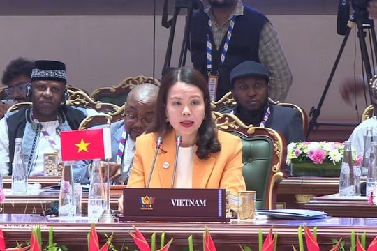 Vietnam ready to strengthen BRICS connection with Asia-Pacific