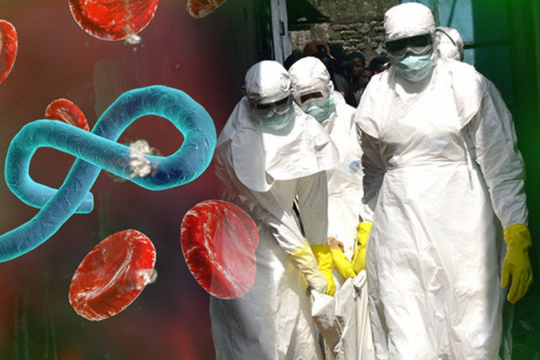 Bùng phát chủng Ebola chưa có vaccine, hàng chục người tử vong