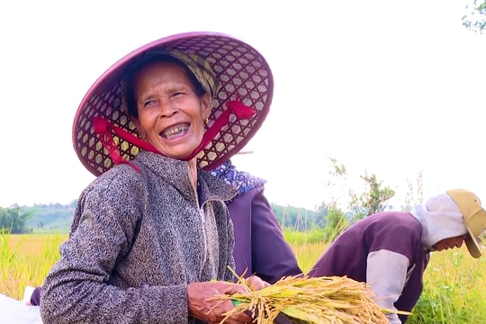 Mùa vàng no ấm nơi vùng biên giới Hướng Lập