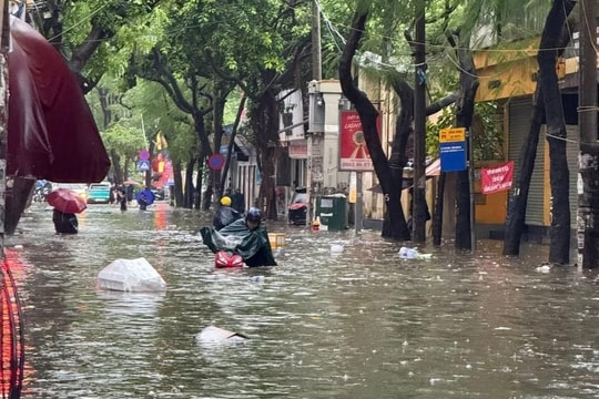 Môi trường - nền tảng cho tăng trưởng bền vững